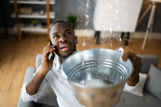 Best Residential water damage restoration  in Benton, LA