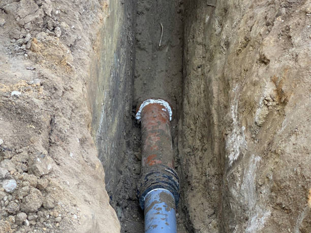 Best Flood restoration services  in Benton, LA