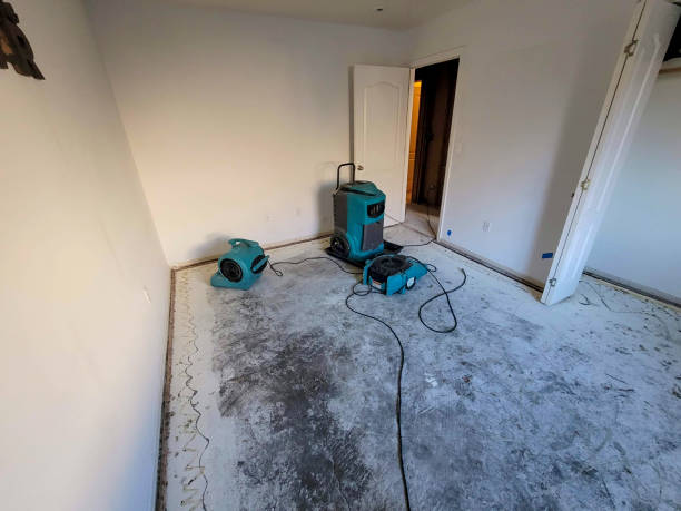 Best 24/7 water damage repair  in Benton, LA