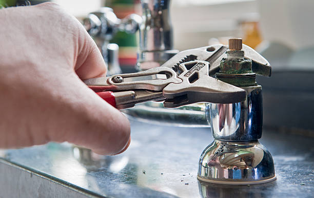Best Flooded house restoration  in Benton, LA