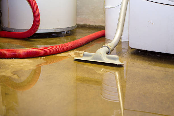 Best Professional water damage repair  in Benton, LA