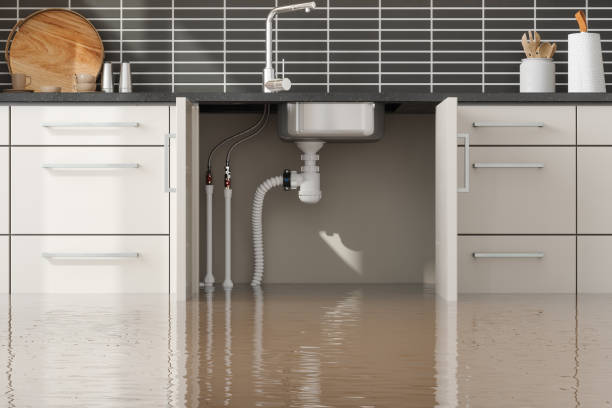 Best Water damage restoration services  in Benton, LA