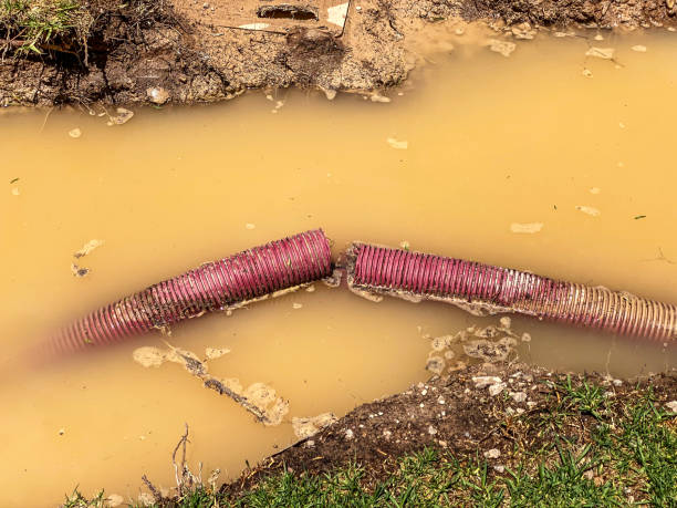 Best Water damage restoration near me  in Benton, LA