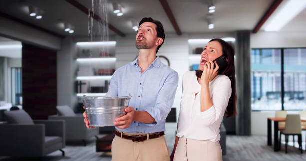 Best Carpet water damage restoration  in Benton, LA