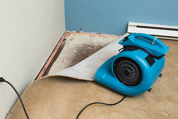 Best Emergency water damage restoration  in Benton, LA
